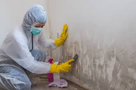 Best Mold Remediation for Healthcare Facilities  in Belleville, PA